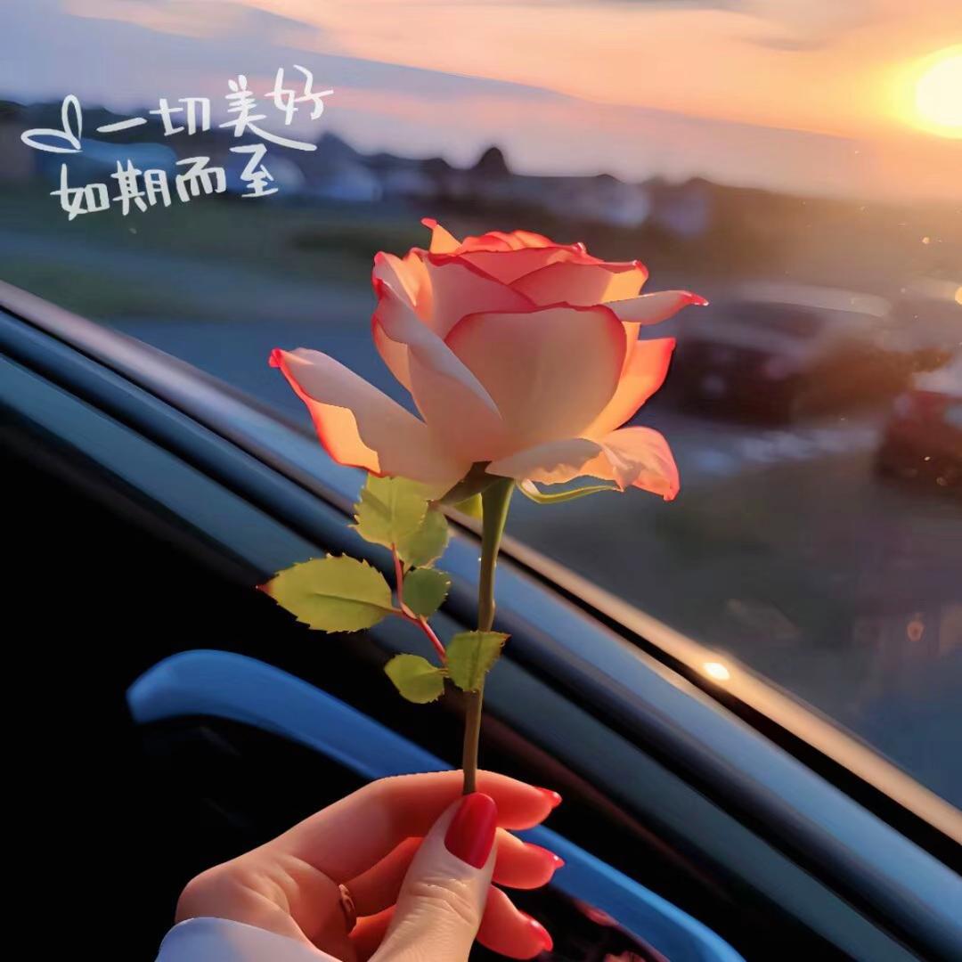 小姐姐👧