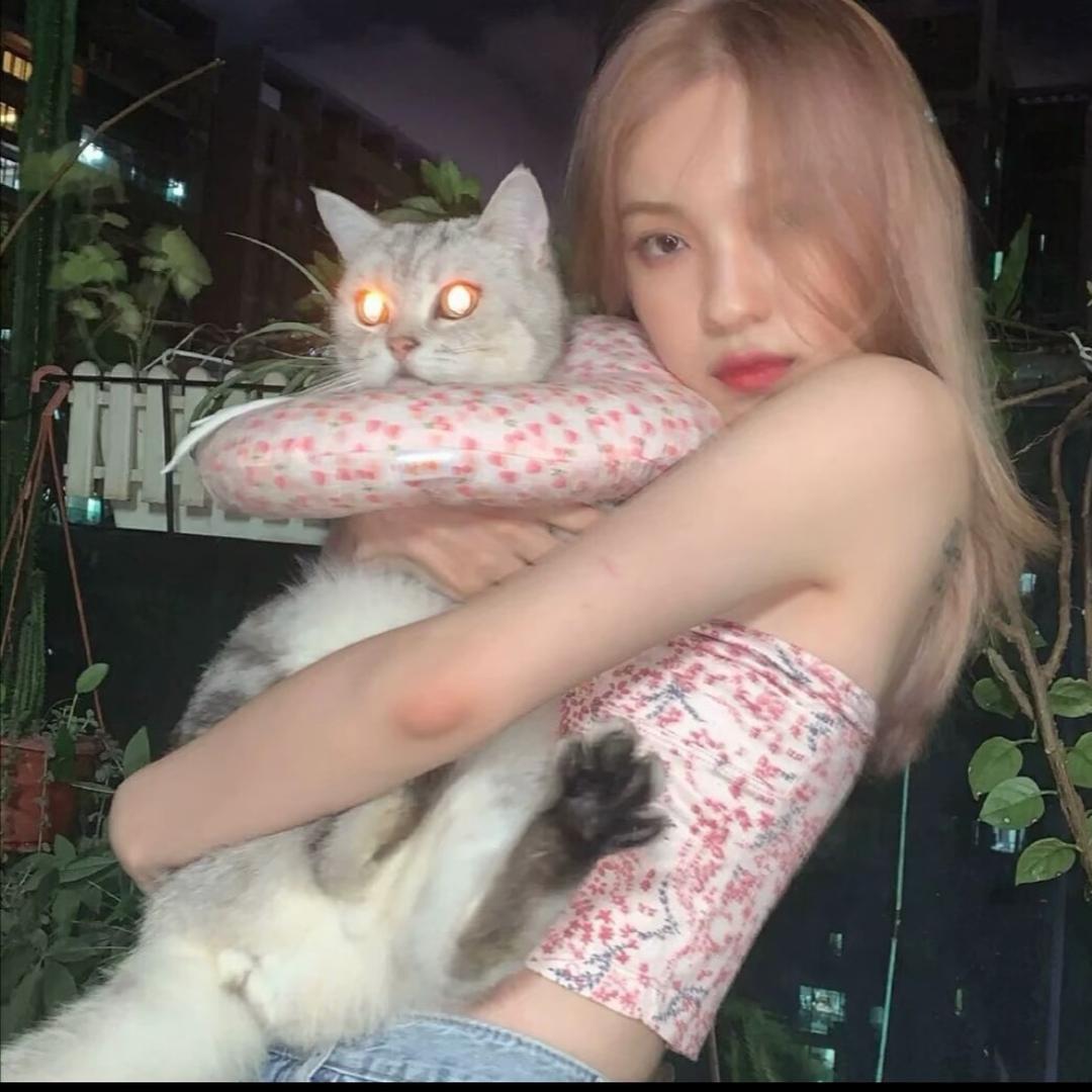 小yang没烦恼🐑