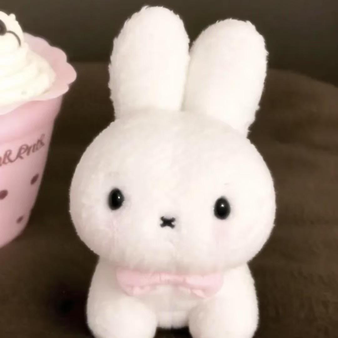 你好猫