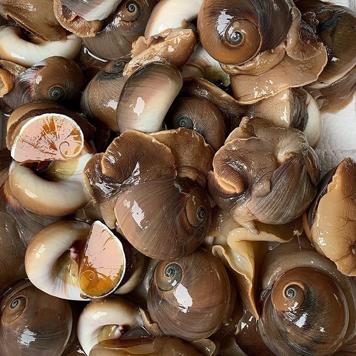 璐璐海鲜
