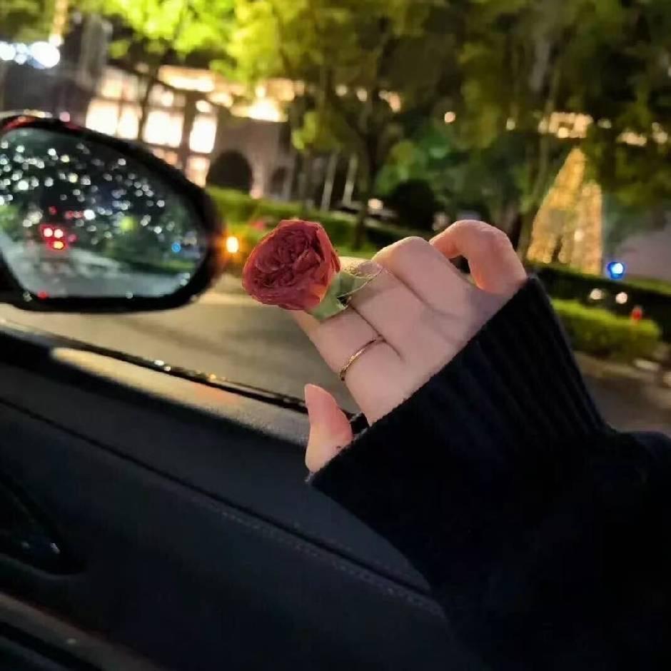 🌸🌸
