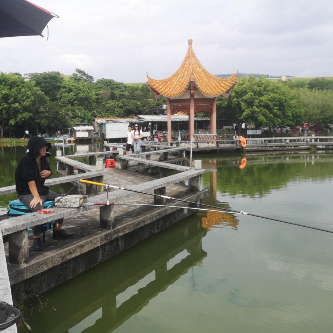 国家一级喂鱼大师🎣