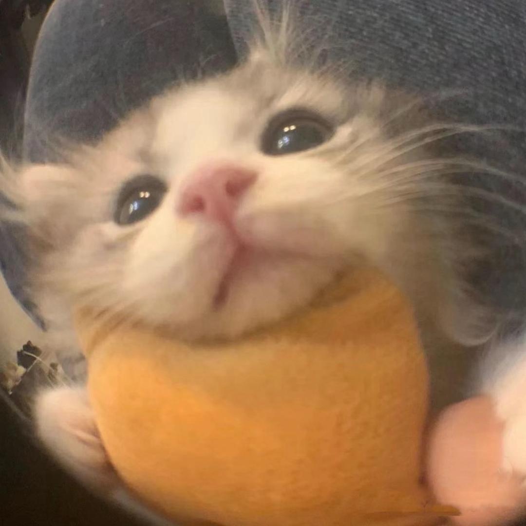 343