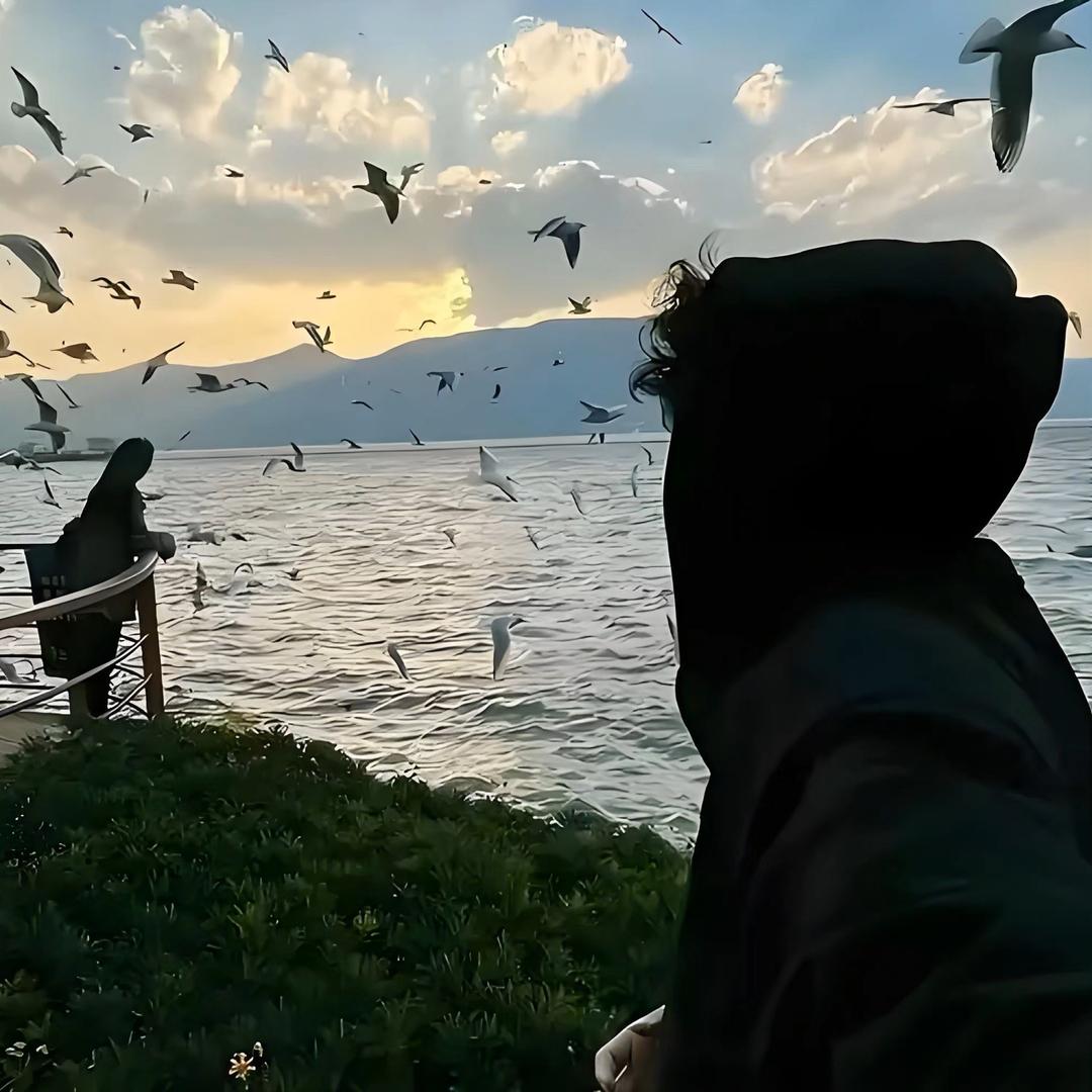 福星到（马年红包专场）