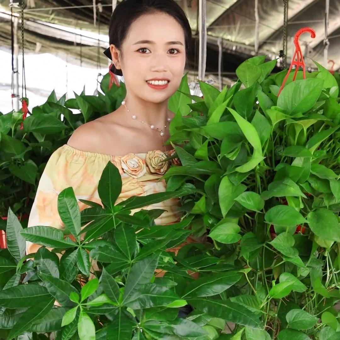 悦花匠巨风专卖店