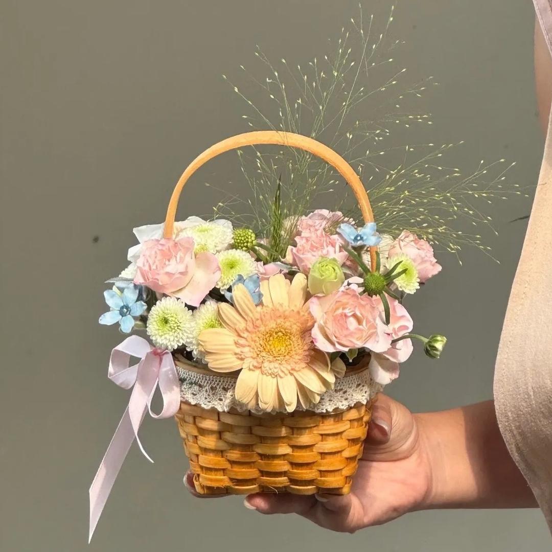 岚子的明星小卡