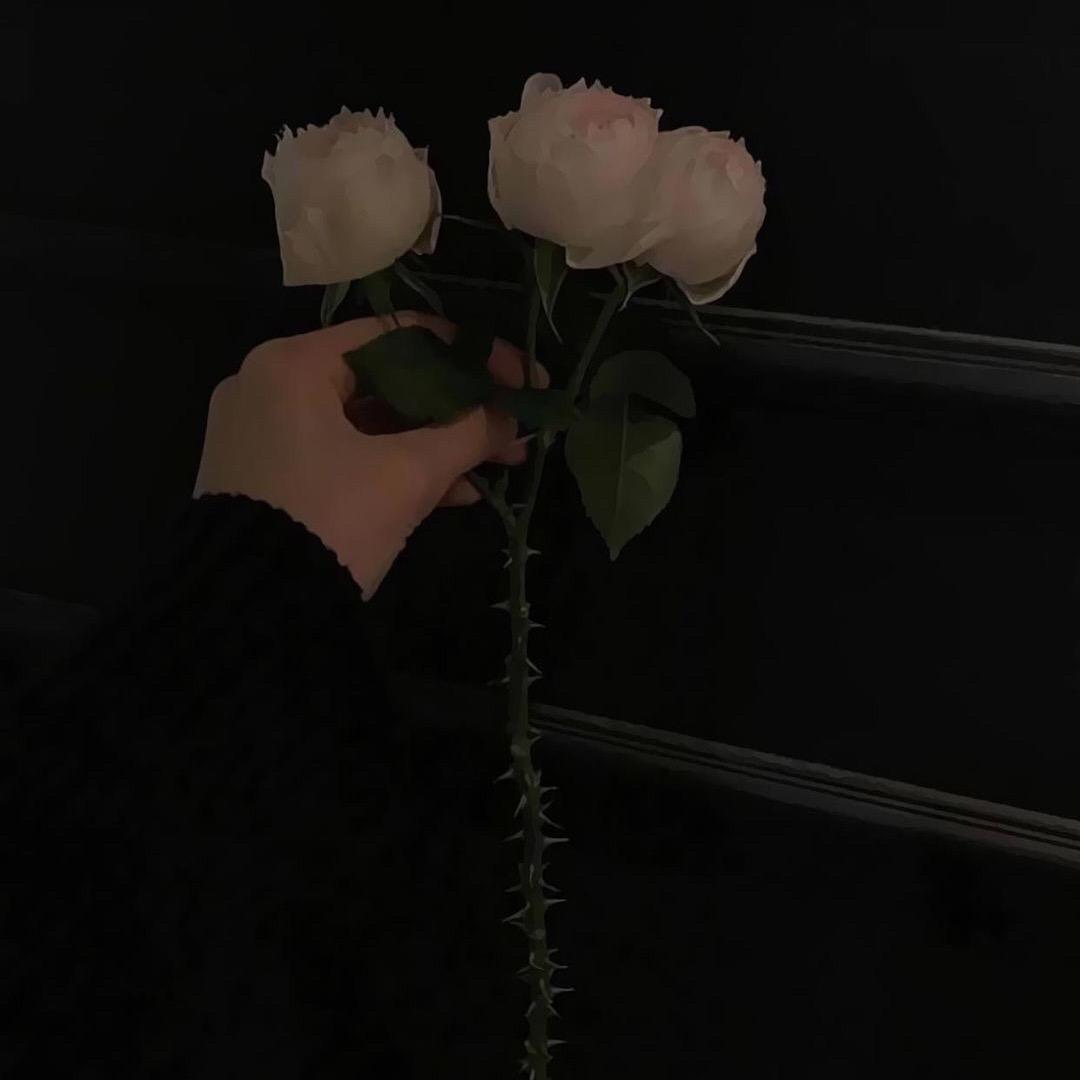༄辰のོ࿆༘瑶࿐