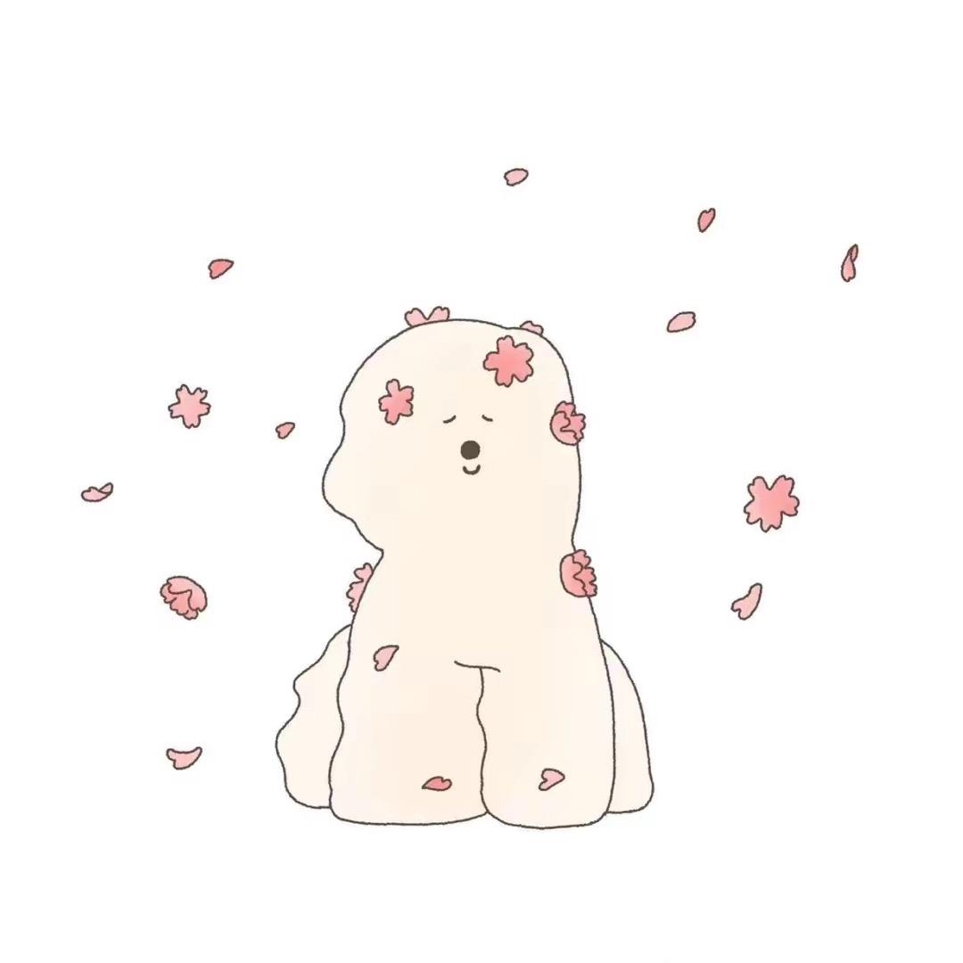 小🐻睡着了