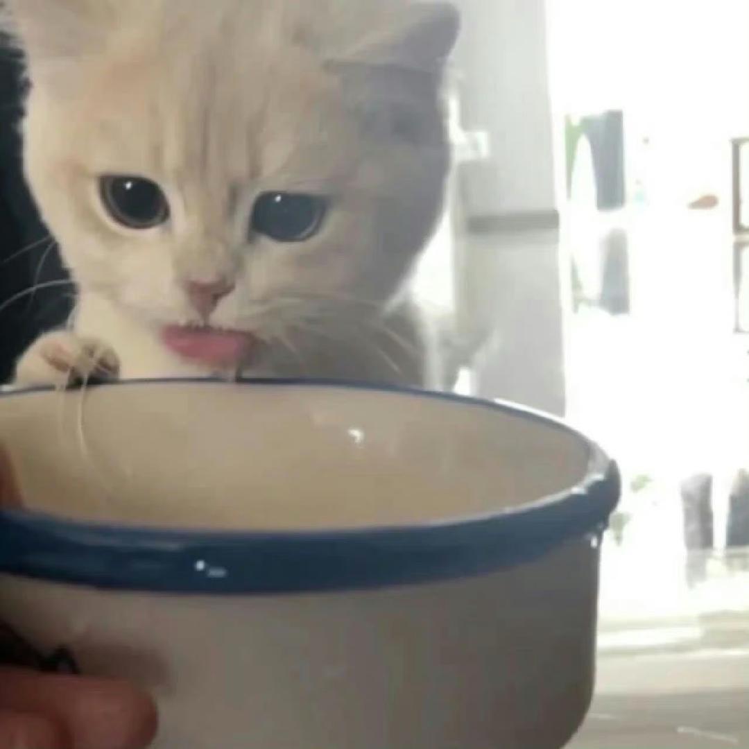 一粒壳壳