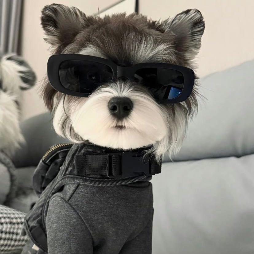 我是高手