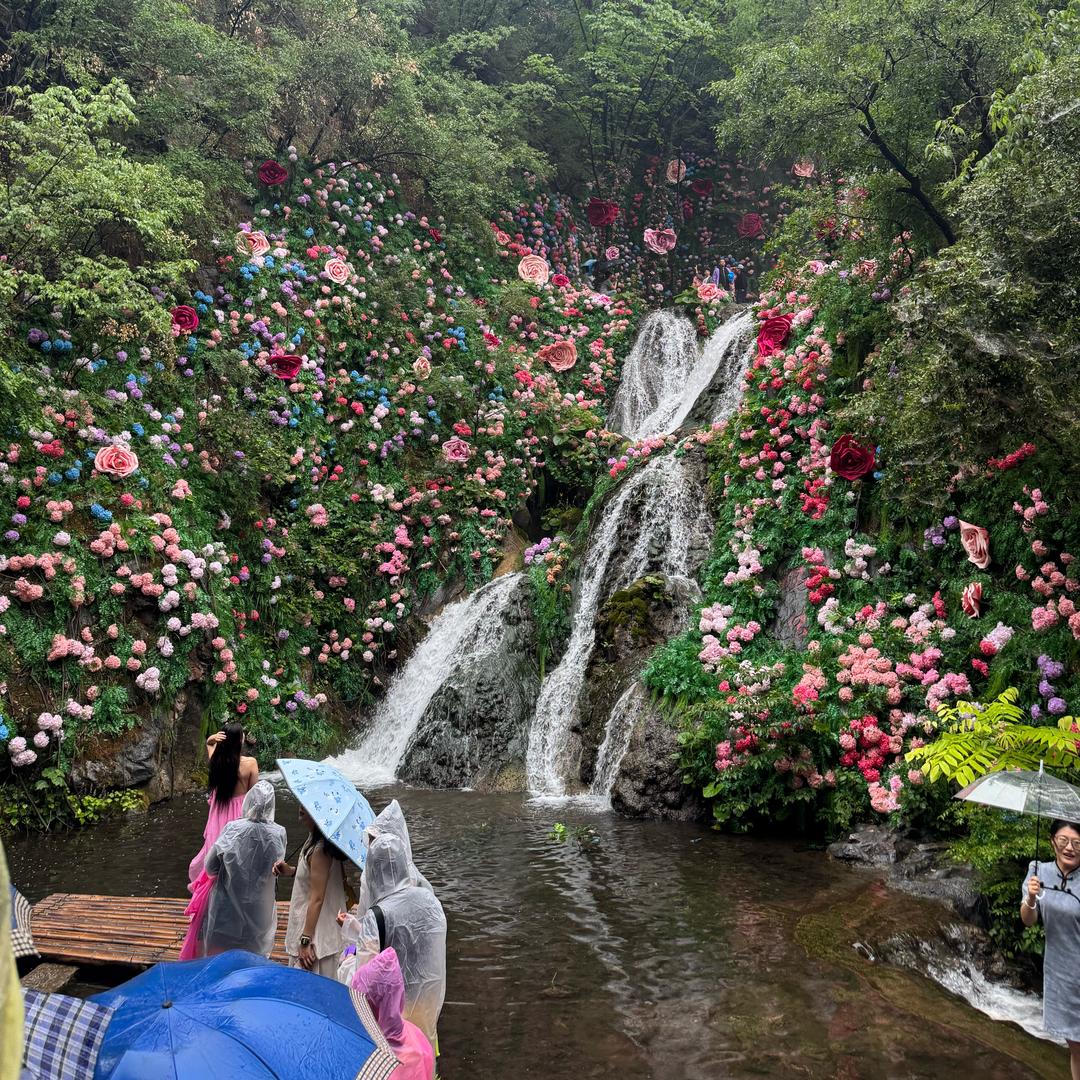 名字太长不知道叫什么