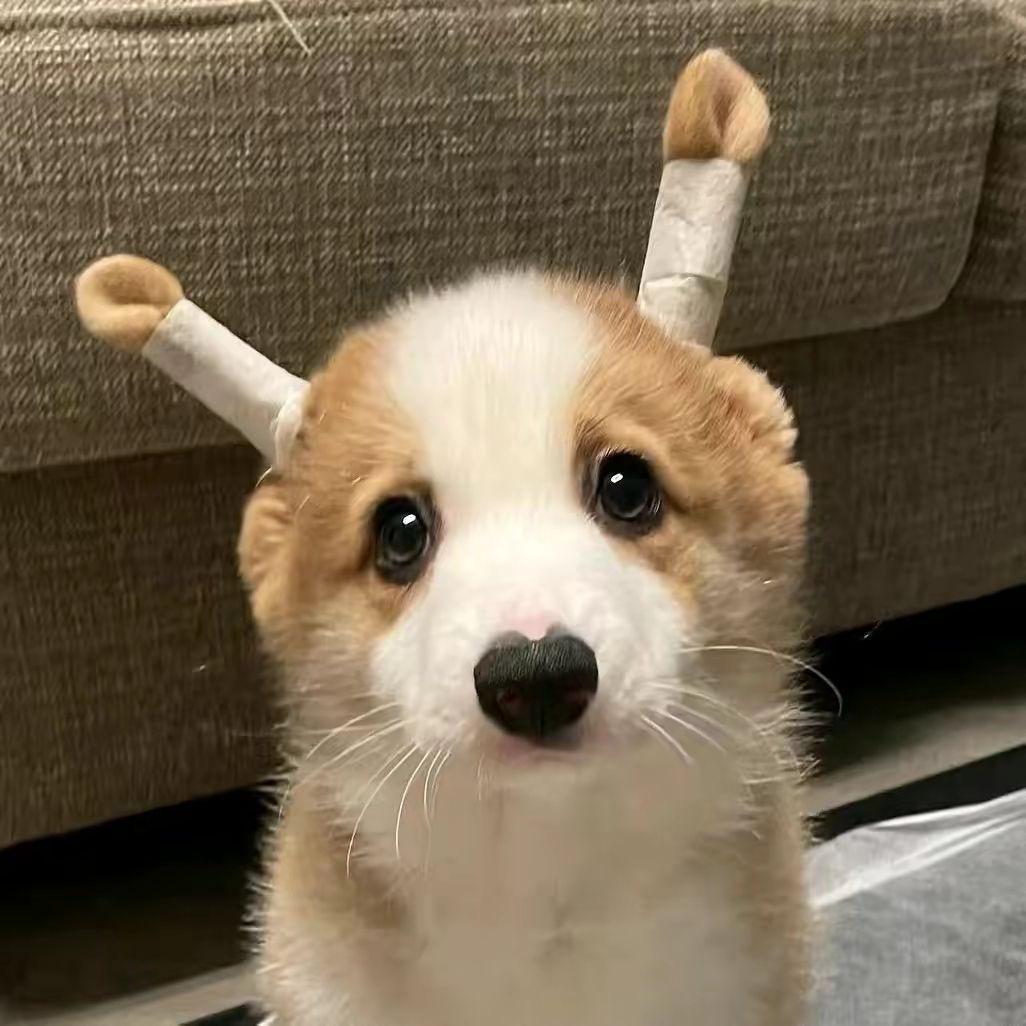也许