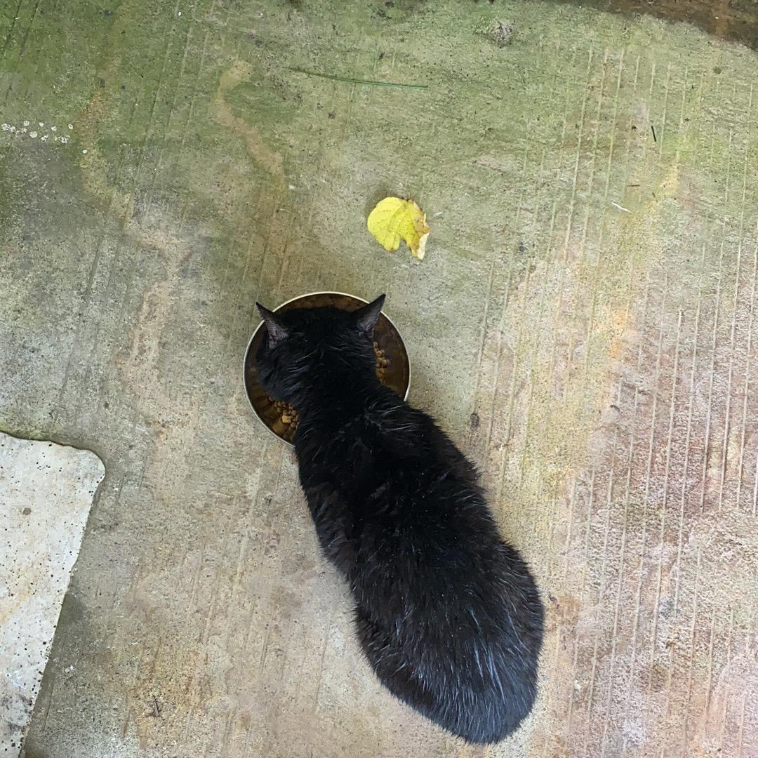 我在温州送外卖