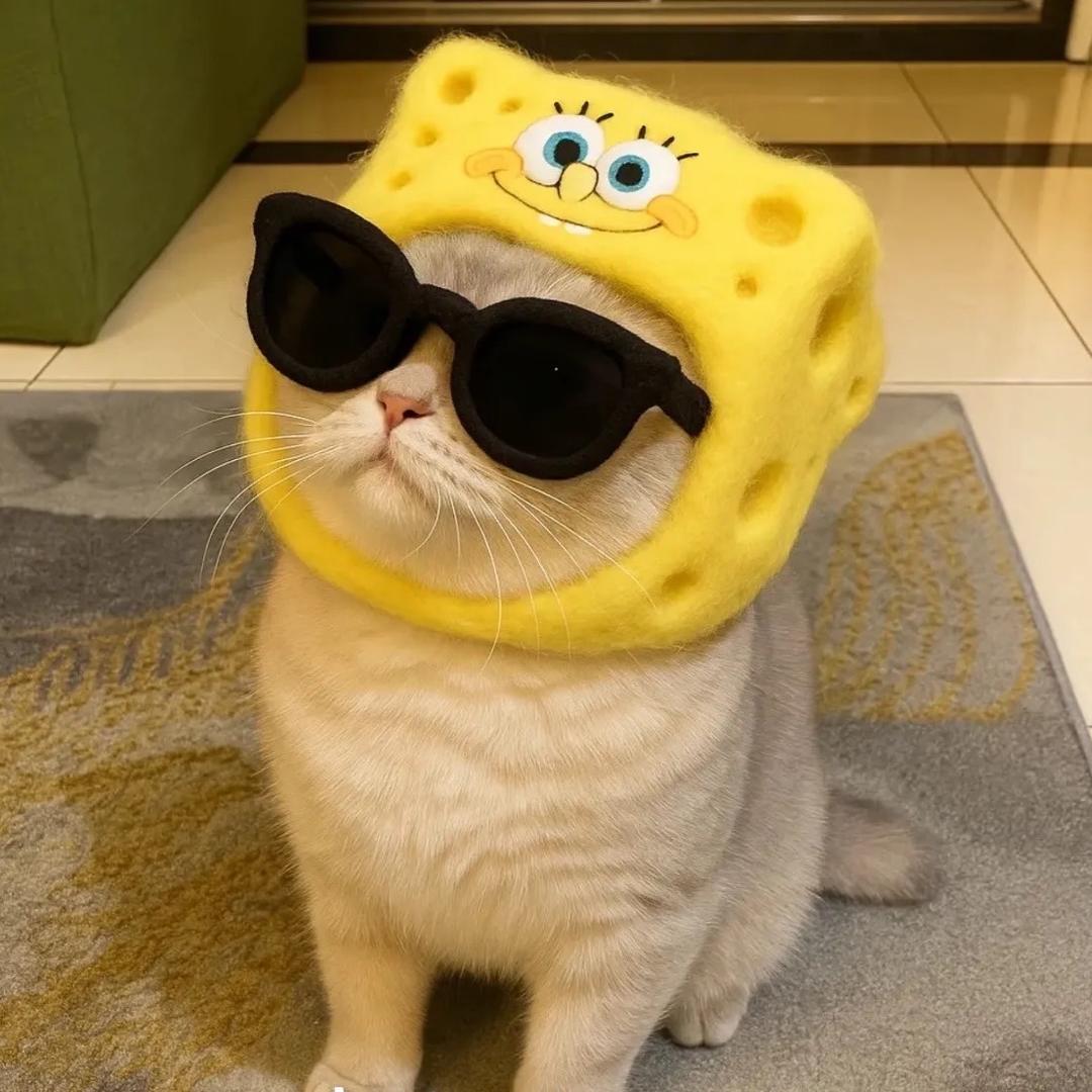 小明啲学长༠°ᥫᩣ༠°