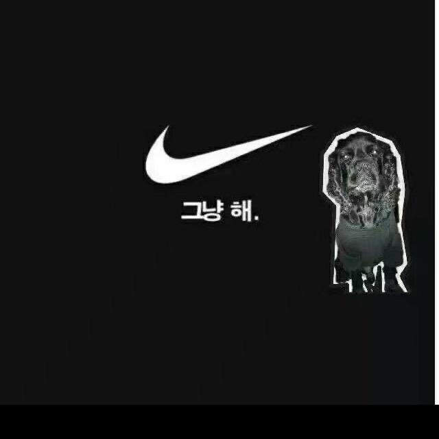 北阳（选猫看主页）