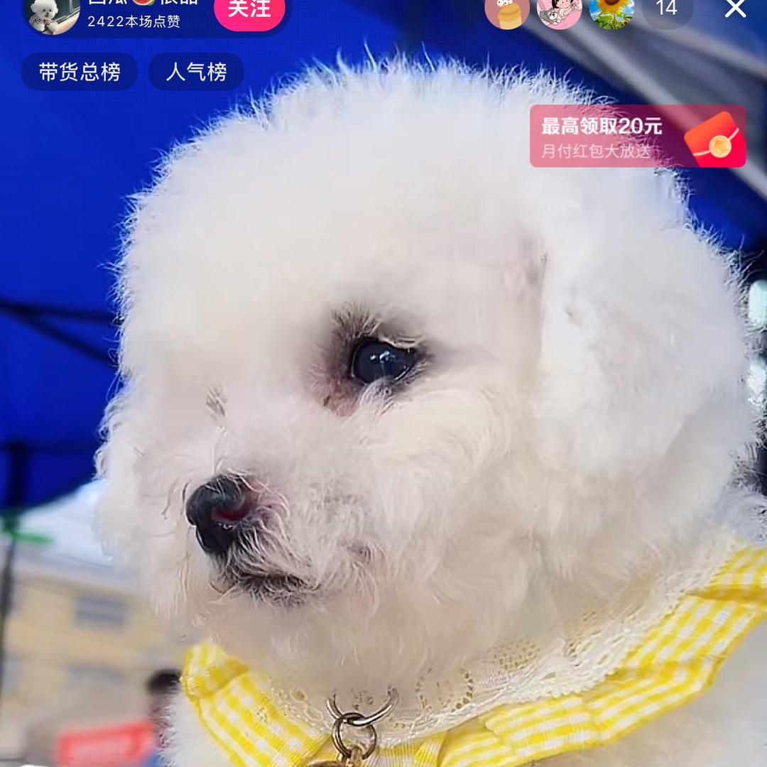 流浪者！！！