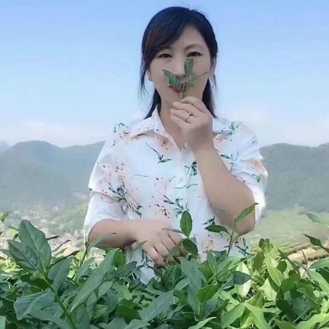 安溪陈美芳茶店
