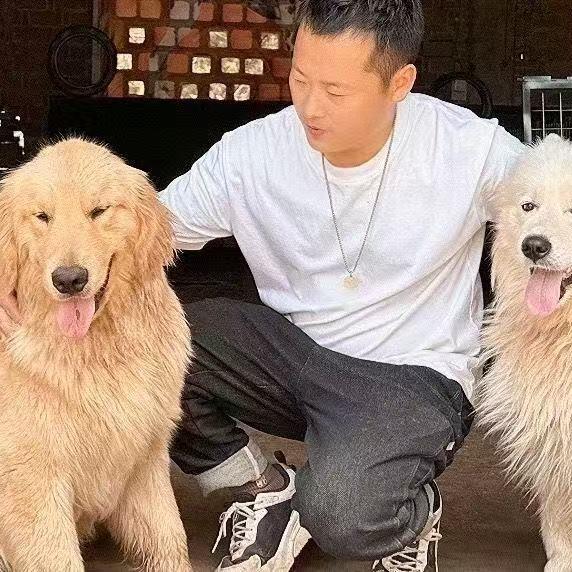 杨哥的狗狗乐园