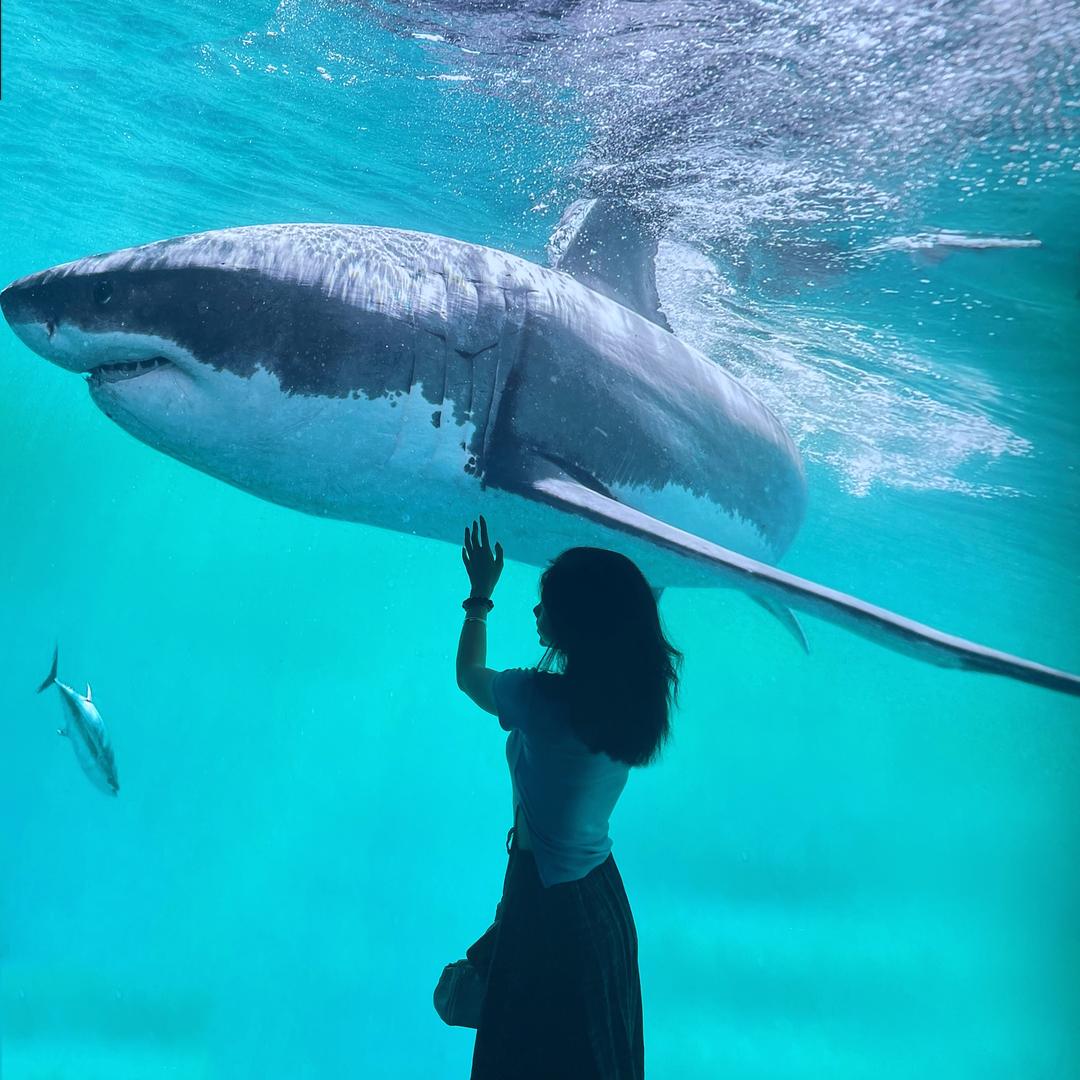 日落归山海，山海藏深意