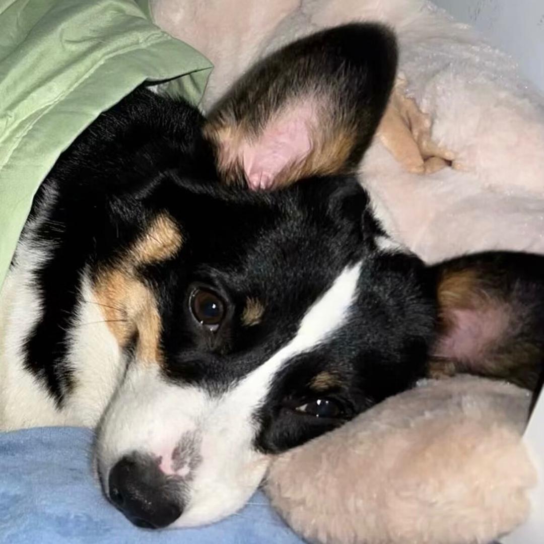 六哥💫自信放光芒