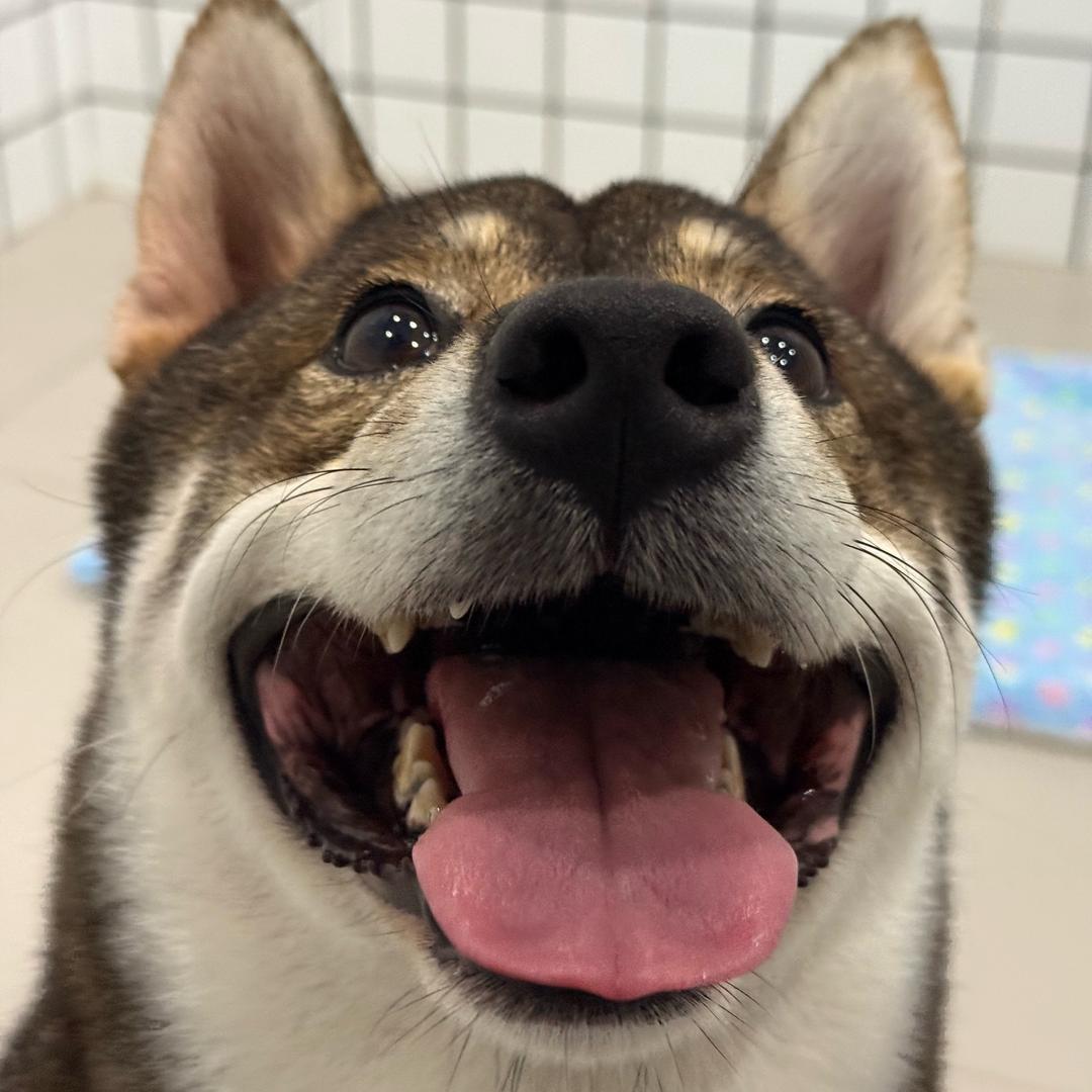 🌈你怎么穿上品如的衣服