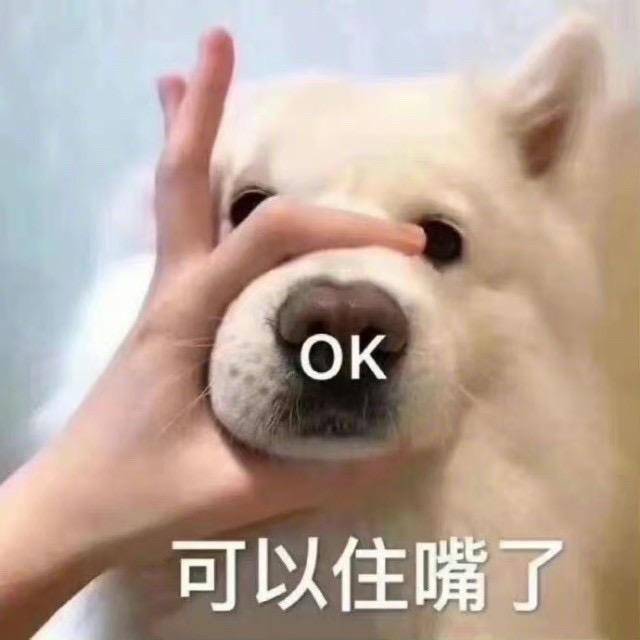 哈基木