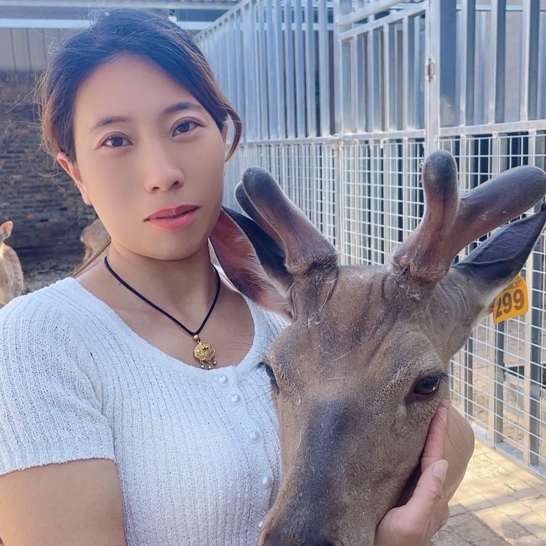农村养鹿人