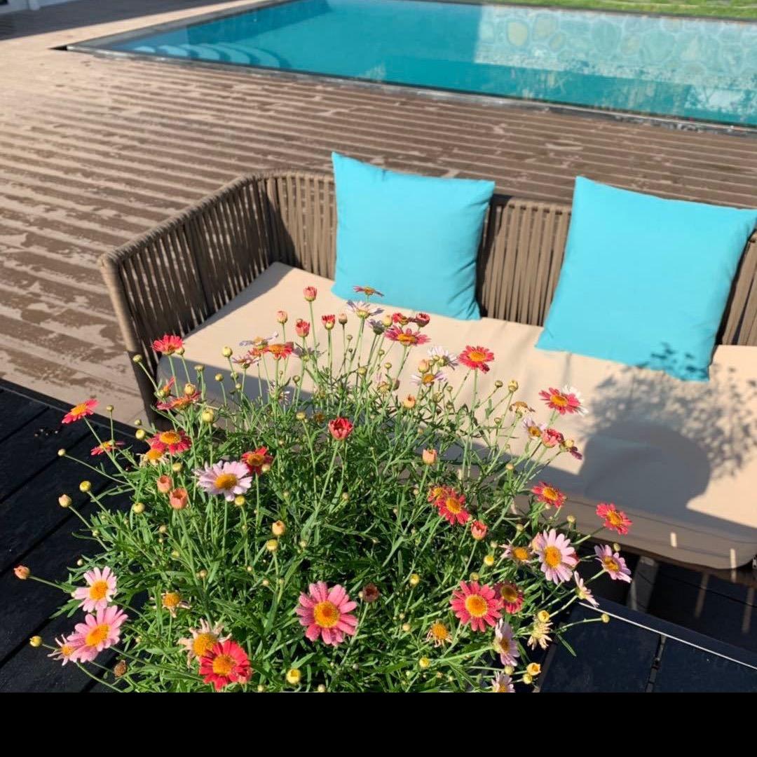 拾野山居（小森林 野窑烤面包）