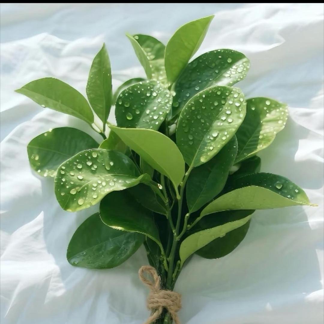 清俗