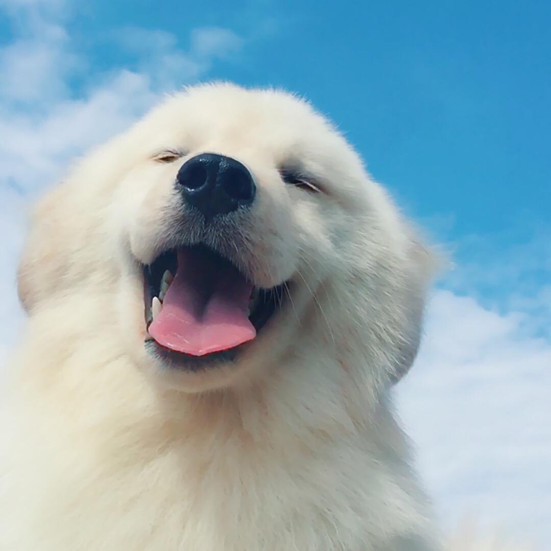 透过窗的阳光