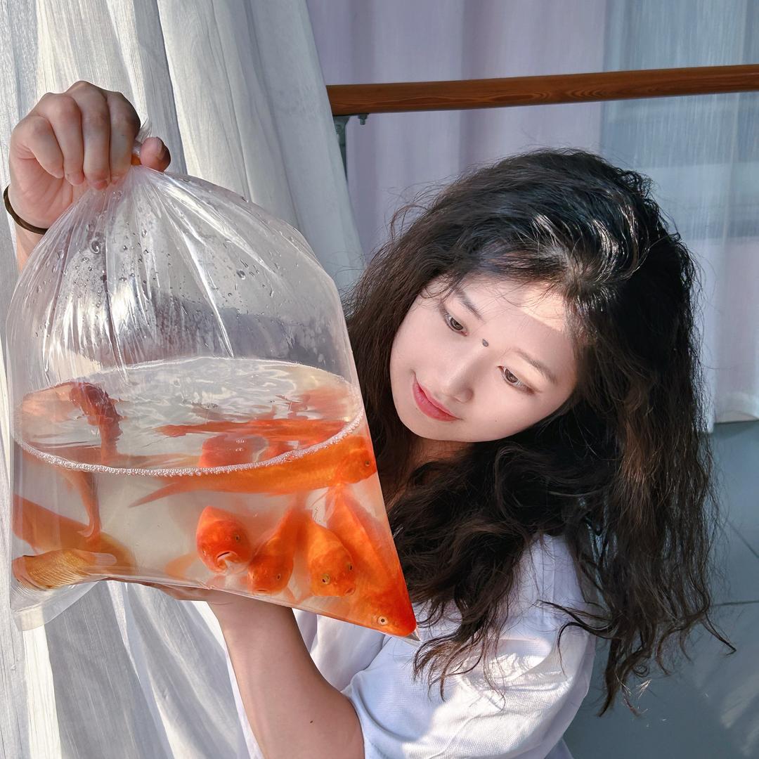 子木վ'ᴗ' ի