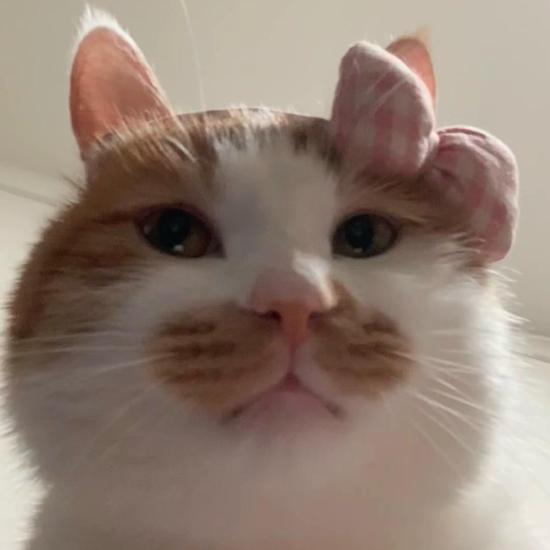 解树