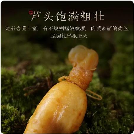 百货家具一站购