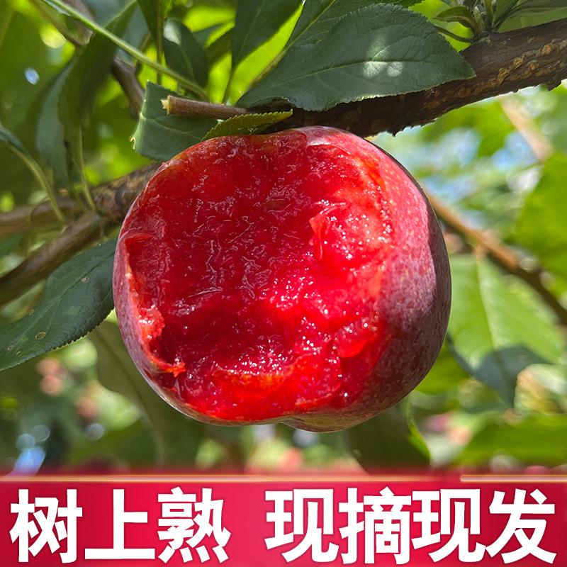 捌佰生鲜