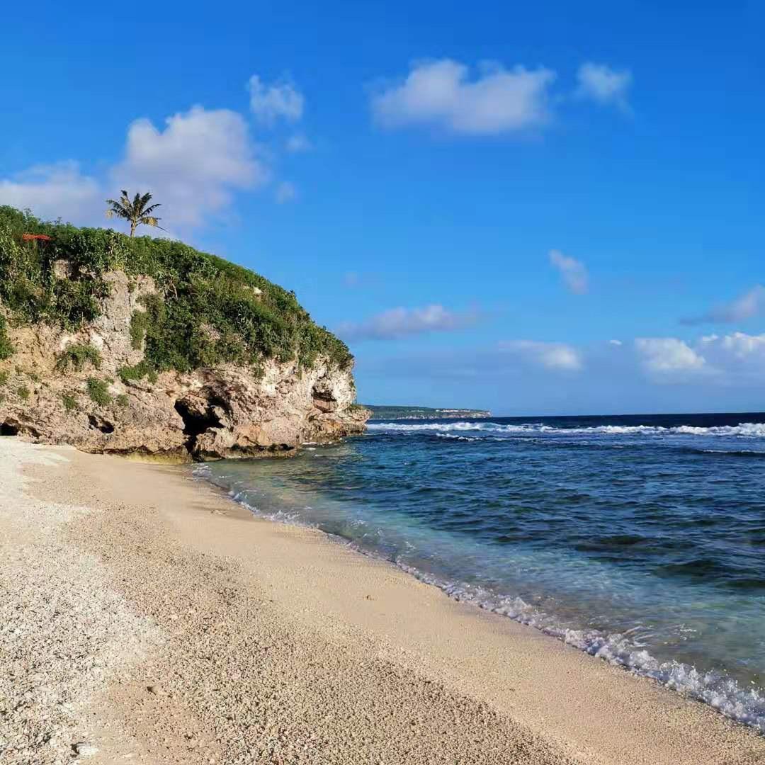 小飞飞呀