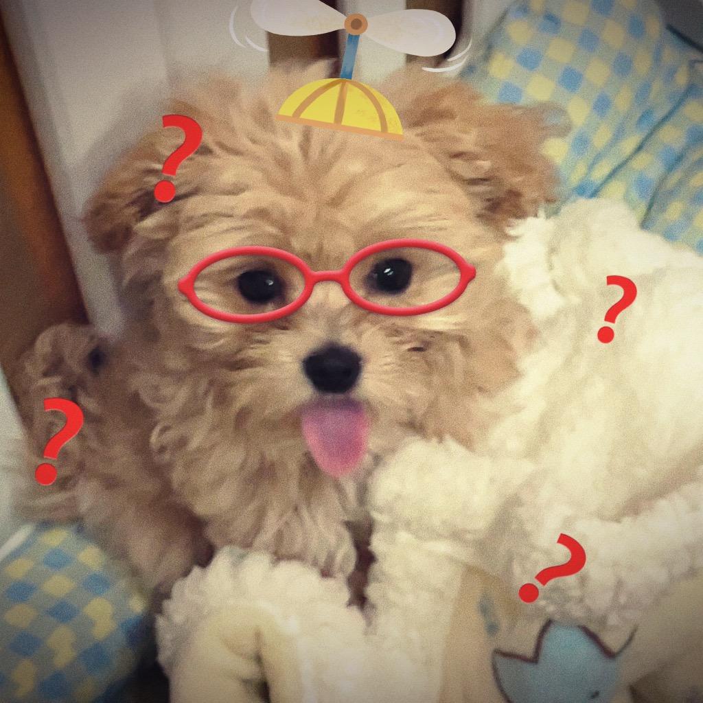 LUlu