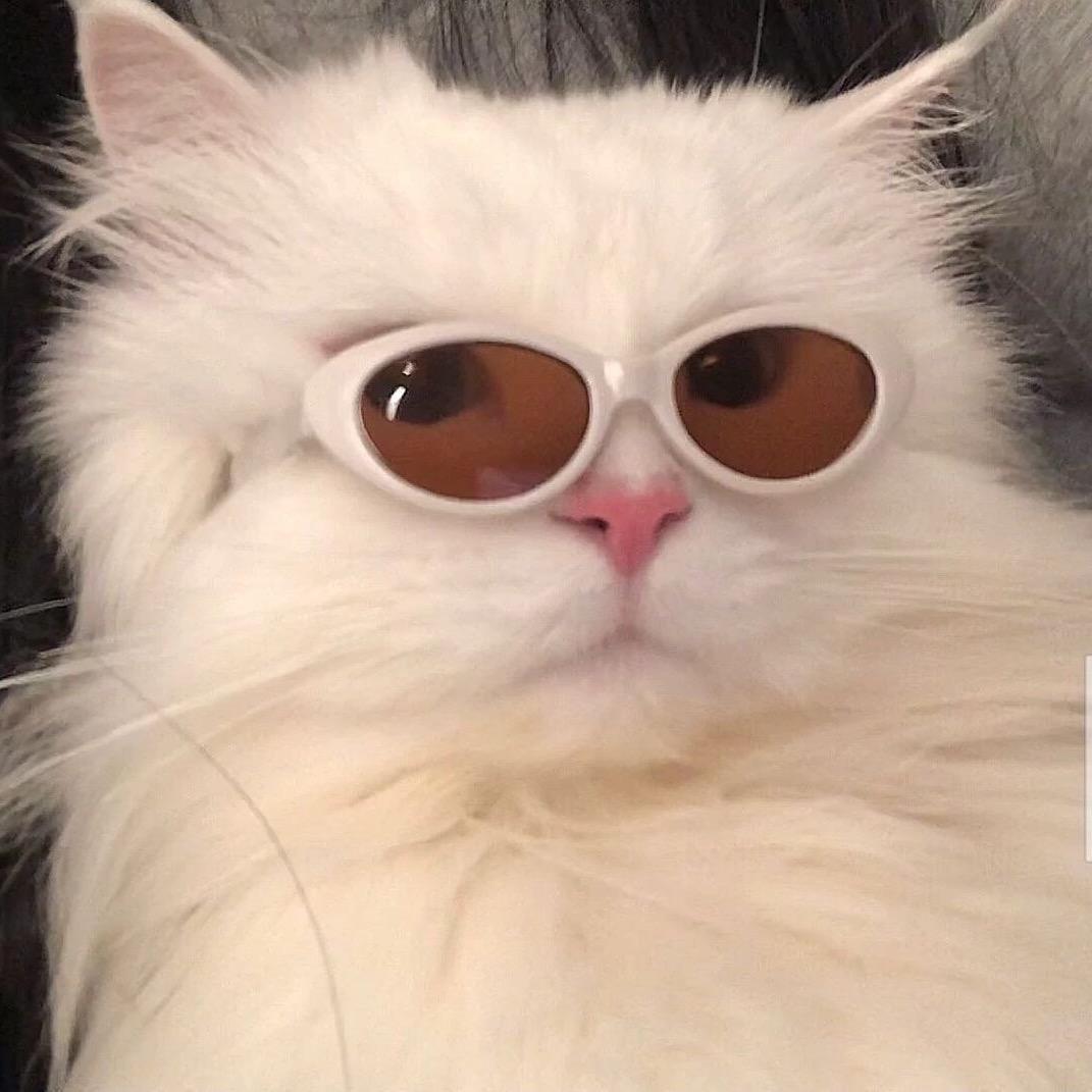 黄胖子.