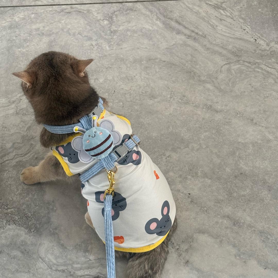 豆包是个懒睡虫💤