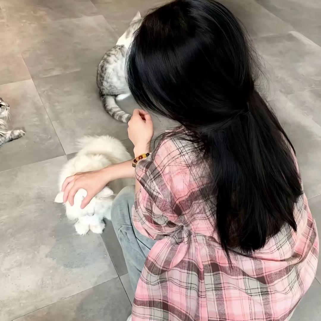 蛋蛋卷