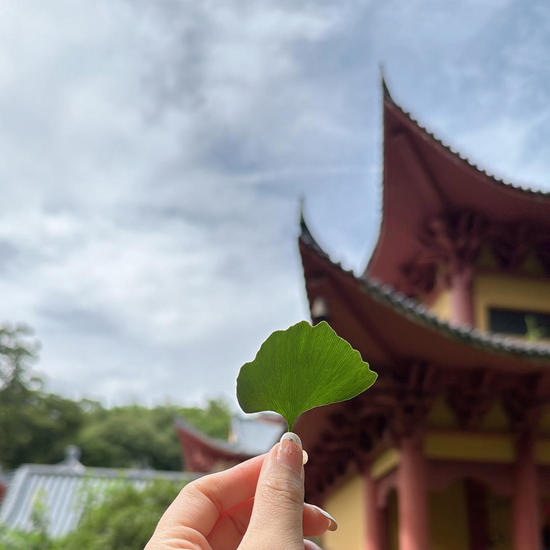 十一