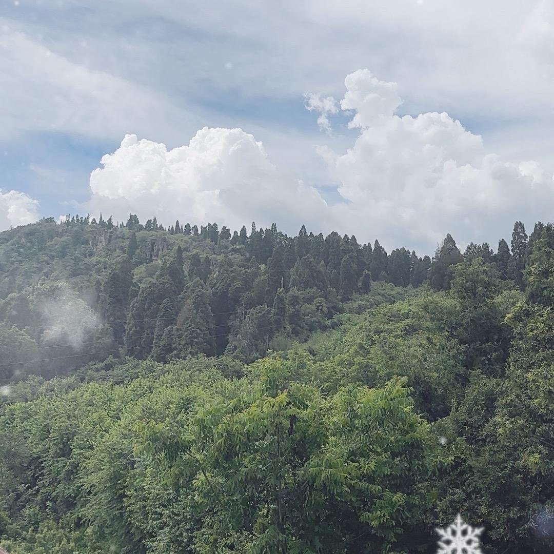 大魏山货