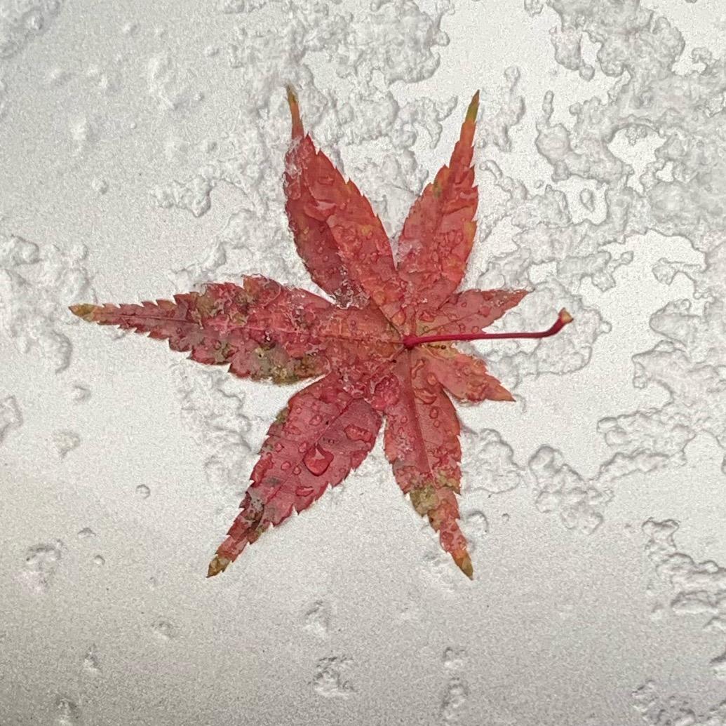 清风白昼