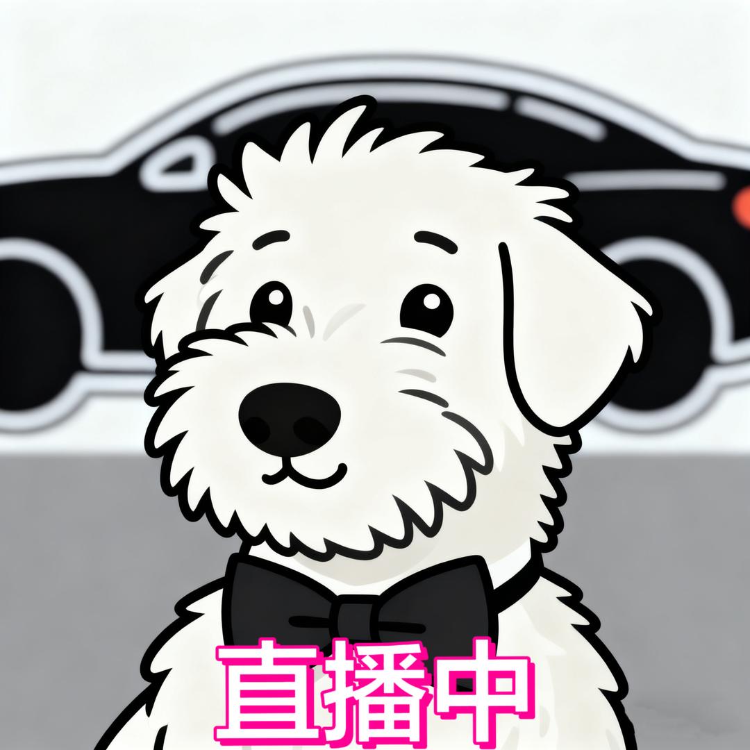 卖二手车的小胖