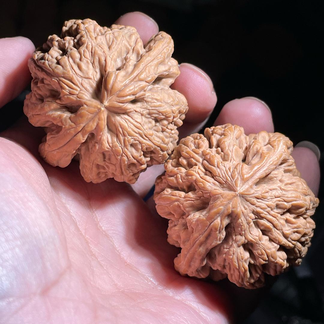 我也卖异型核桃