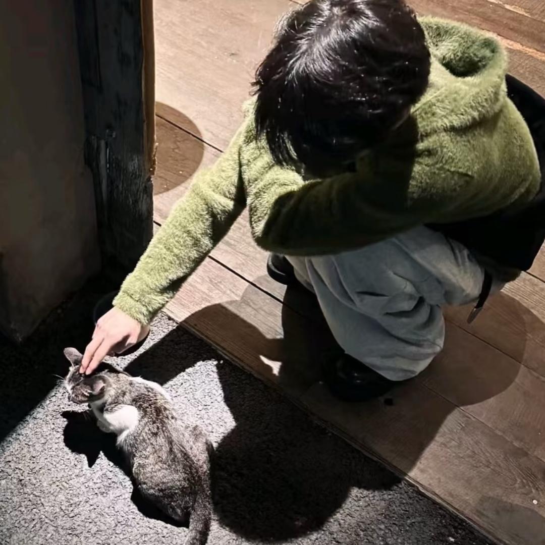 拾柒
