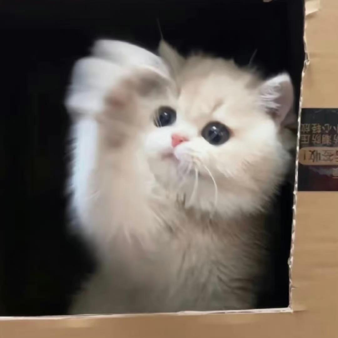 111