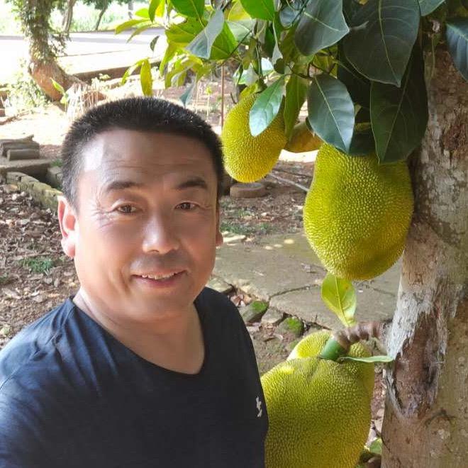 玩石大贾