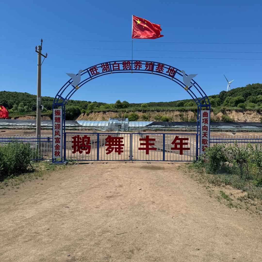 鹅舞丰年