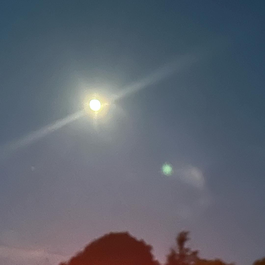 ᝰℳ.ꪟαꫛᧁ༧ོ࿐