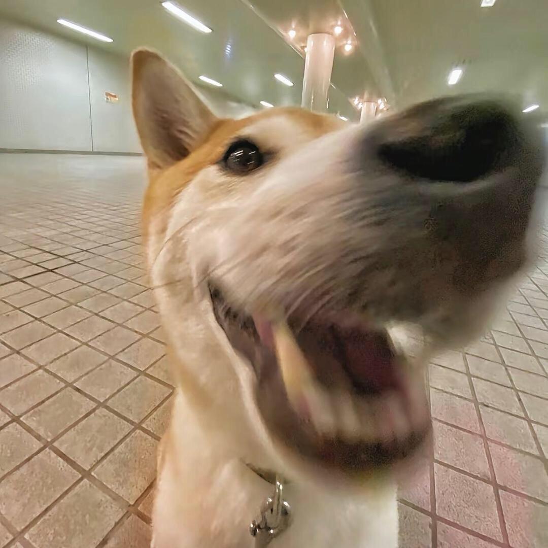 726